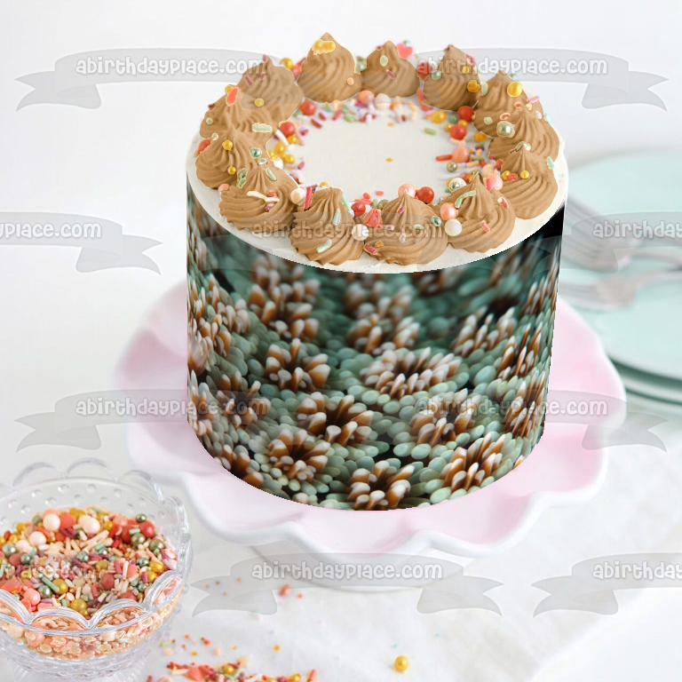 Ocean Life Coral Landscape Edible Cake Topper Image ABPID52520