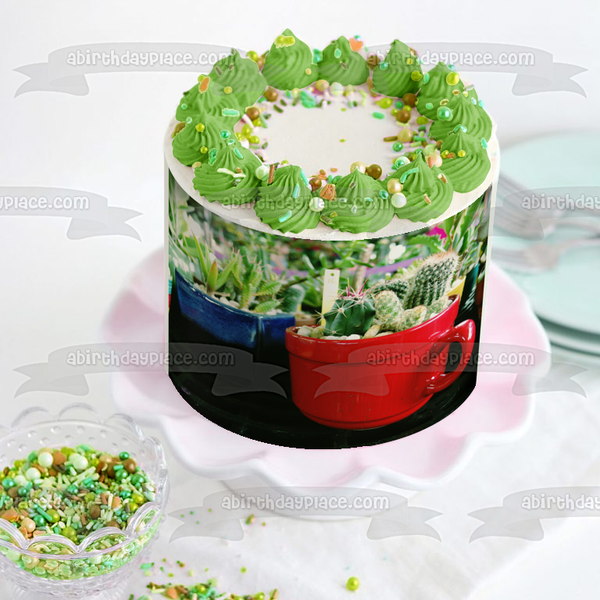 Assorted Cacti Plants In Mugs Edible Cake Topper Image ABPID52525
