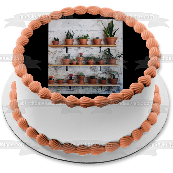 Assorted Cacti Plants In Plant Pots Edible Cake Topper Image ABPID52552