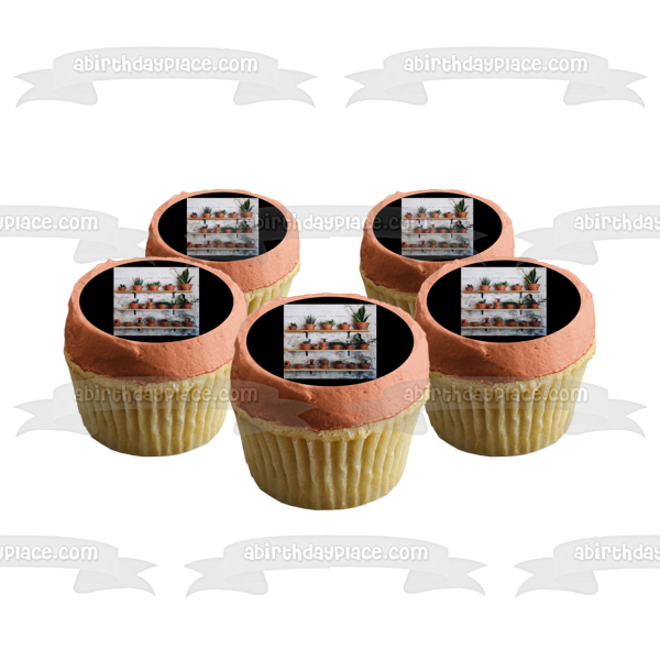 Assorted Cacti Plants In Plant Pots Edible Cake Topper Image ABPID52552