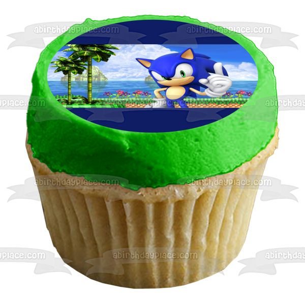 Sonic the Hedgehog Sega Island Video Game Edible Cake Topper Image ABPID52903
