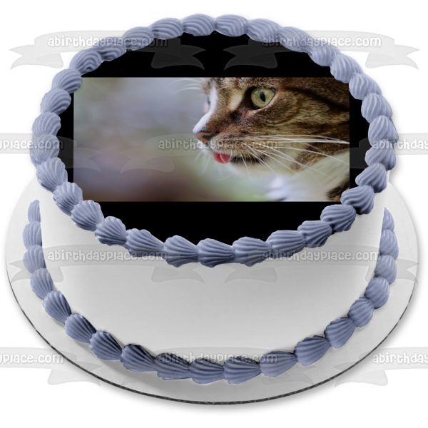 Cat Kitten Tongue Animal Pet Edible Cake Topper Image ABPID52915