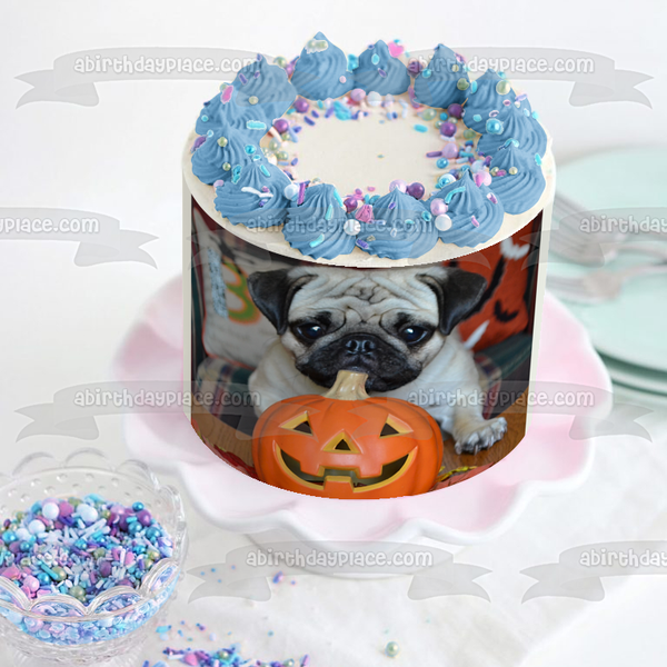 Happy Halloween Jack-O-Lantern Pug Puppy Edible Cake Topper Image ABPID52930