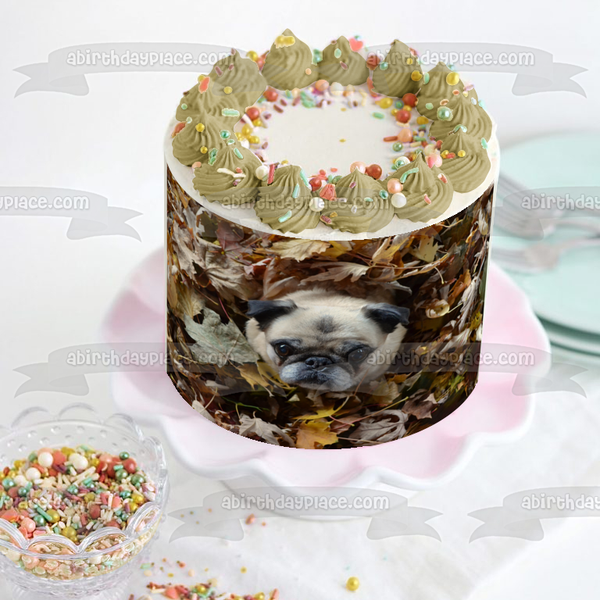 Pug Puppy In Leaf Pile Fall Season Edible Cake Topper Image ABPID52935