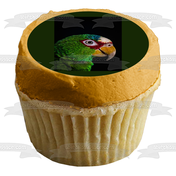 Parrot Bird Animal Nature Wildlife Edible Cake Topper Image ABPID52993