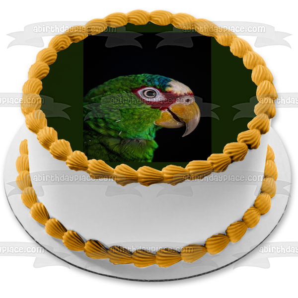 Parrot Bird Animal Nature Wildlife Edible Cake Topper Image ABPID52993