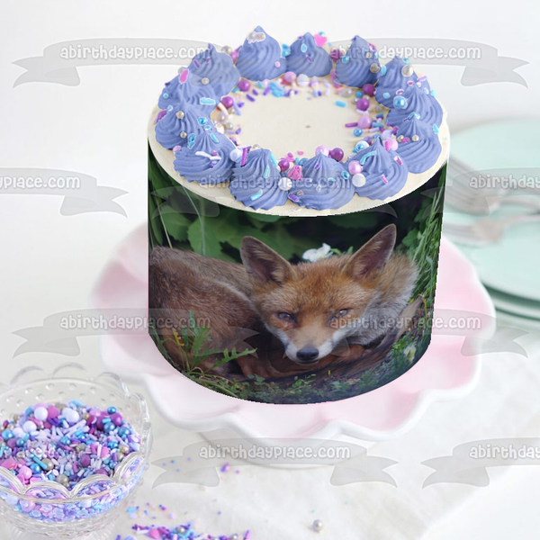 Nature Wildlife Forest Fox Animal Edible Cake Topper Image ABPID52828
