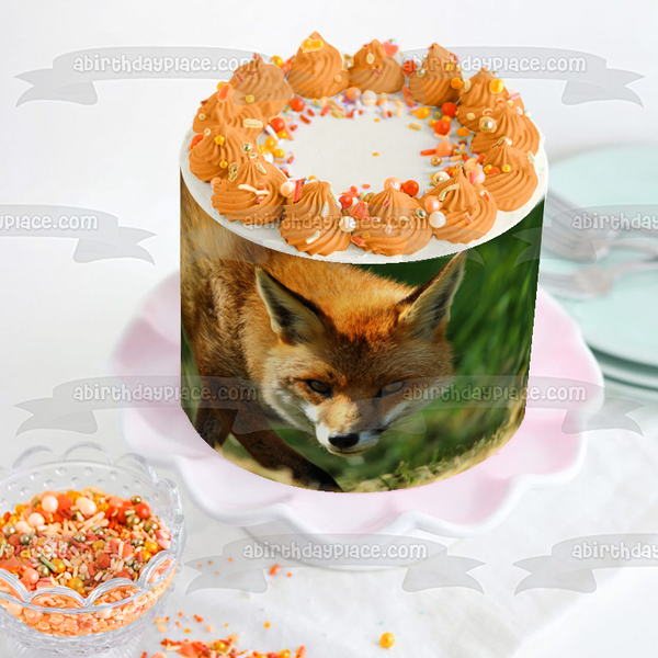 Fox Wildlife Nature Animal Forest Edible Cake Topper Image ABPID52829