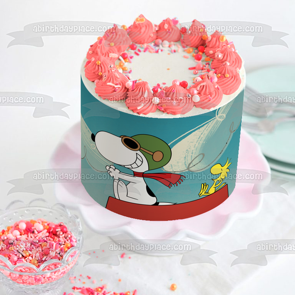 The Snoopy Show Woodstock Edible Cake Topper Image ABPID53876