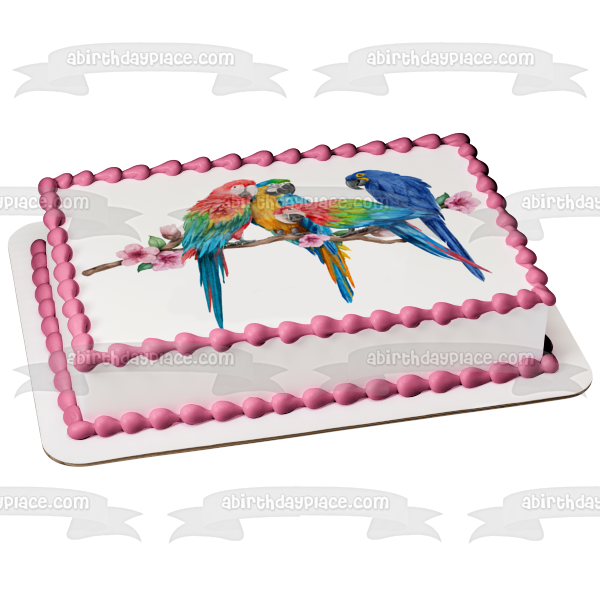 Macaw Parrots on a Branch Watercolor Edible Cake Topper Image ABPID56673