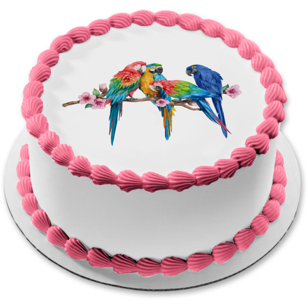 Macaw Parrots on a Branch Watercolor Edible Cake Topper Image ABPID56673