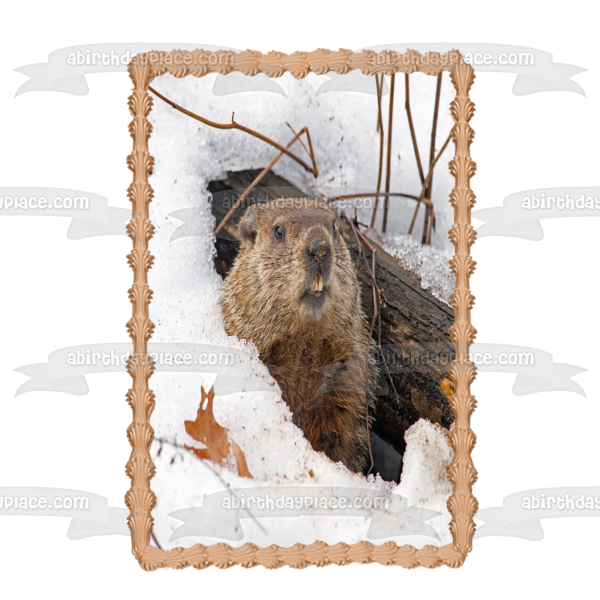 Happy Groundhog Day Edible Cake Topper Image ABPID57007