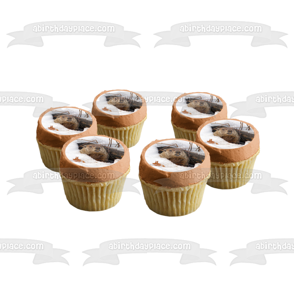 Happy Groundhog Day Edible Cake Topper Image ABPID57007