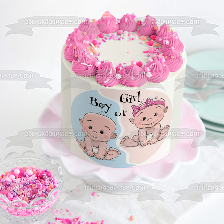 Gender Reveal Party Boy or Girl Edible Cake Topper Image ABPID57213
