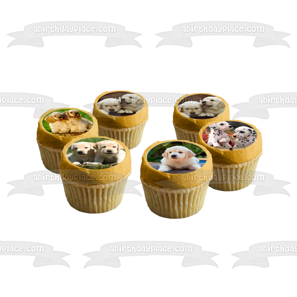 Puppies Pugs Dalmatians and Golden Retrievers Edible Cupcake Topper Images ABPID03938