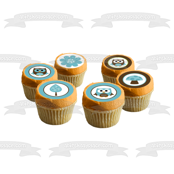 Baby Owls Birds Blue Brown Gerber Daisy and a Mushroom Edible Cupcake Topper Images ABPID04721