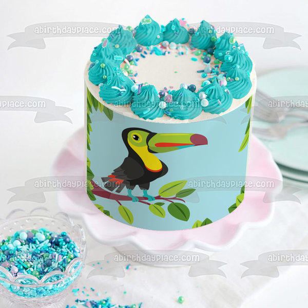 Toucan Illustration Edible Cake Topper Image ABPID57748