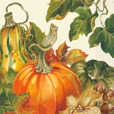 Harvest Pumpkins Disposable Tableware