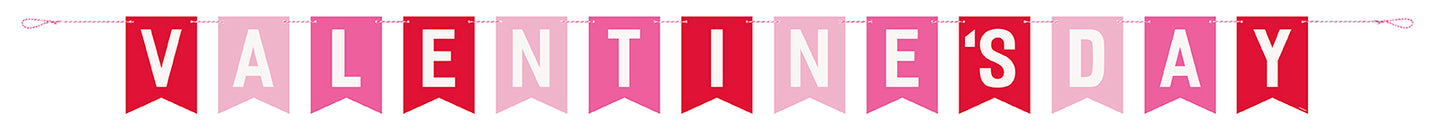 Red & Pink Happy Valentine's Day Pennant Banner, 10 ft