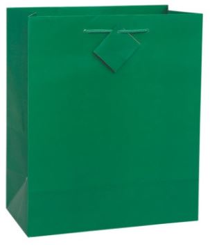 Green Solid Large Gift Bag, 1ct