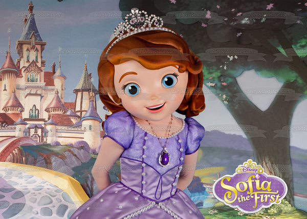 Sofia the First Princess Castle Edible Cake Topper Image ABPID00645
