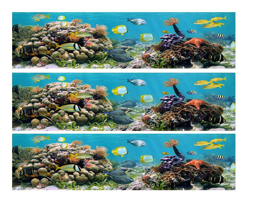 Ocean Life, varios peces, coral, decoración comestible para tartas, tiras de imágenes ABPID00988
