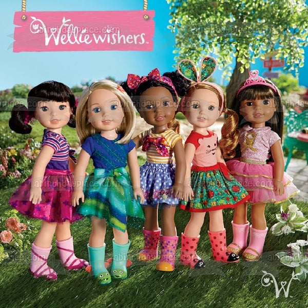 American Girl Wellie Wishers Emerson Camille Ashlyn Willa and Kendall Edible Cake Topper Image ABPID03389