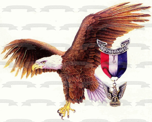 Boy Scouts of America Eagle and Their Pendant Edible Cake Topper Image ABPID03497