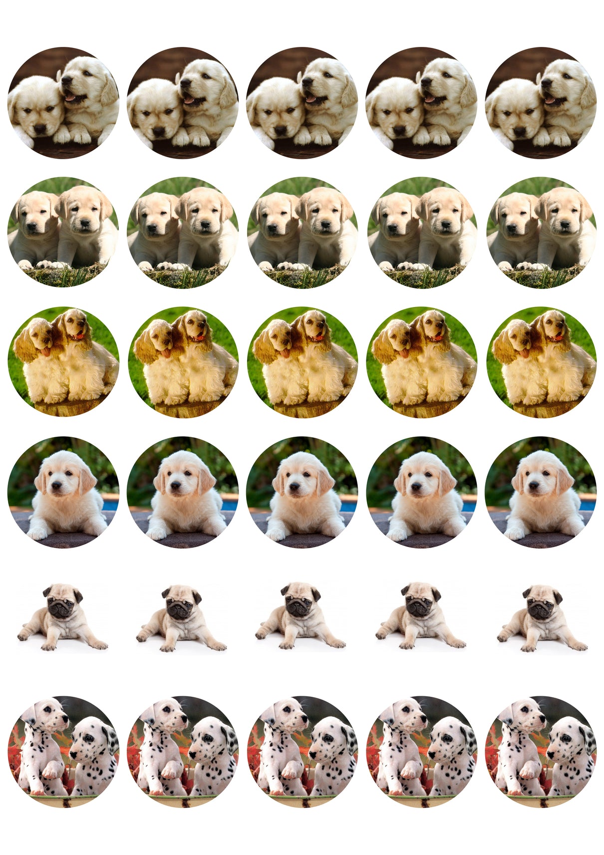 Puppies Pugs Dalmatians Dog Breeds Edible Cupcake Topper Images ABPID03938