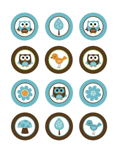 Baby Owls Birds Blue Brown Gerber Daisy Mushroom Edible Cupcake Topper Images ABPID04721