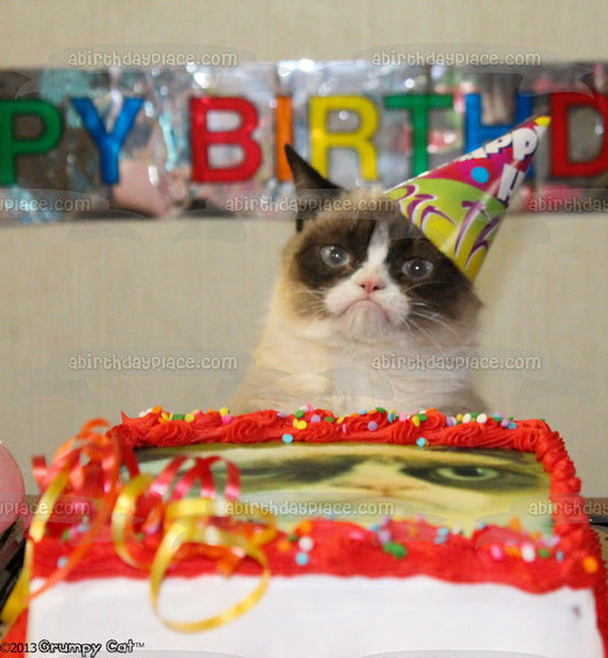 Happy Birthday Grumpy Cat and a Banner Edible Cake Topper Image ABPID05461