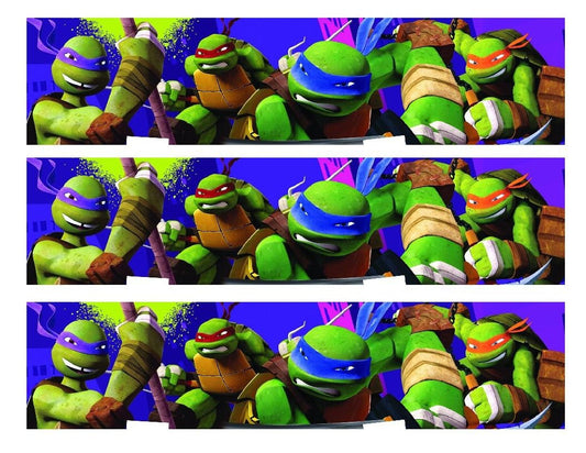 Teenage Mutant Ninja Turtles Donatello Michaelangelo Leonardo and Raphael Tmnt Edible Cake Topper Image Strips ABPID06379