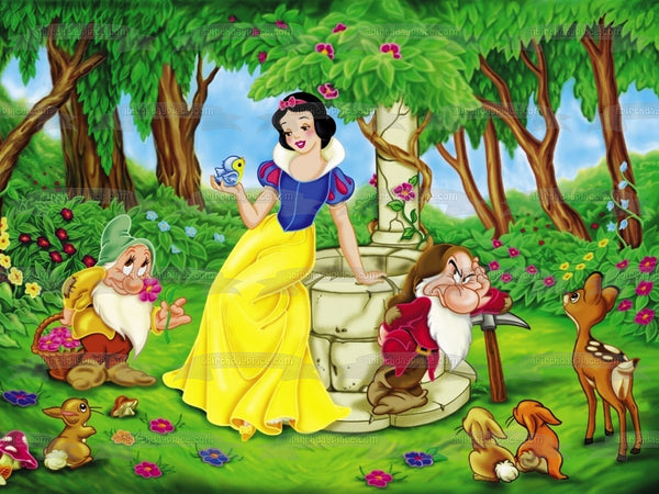 Disney Princess Snow White Dwarfs Grumpy Happy Edible Cake Topper Image ABPID07819