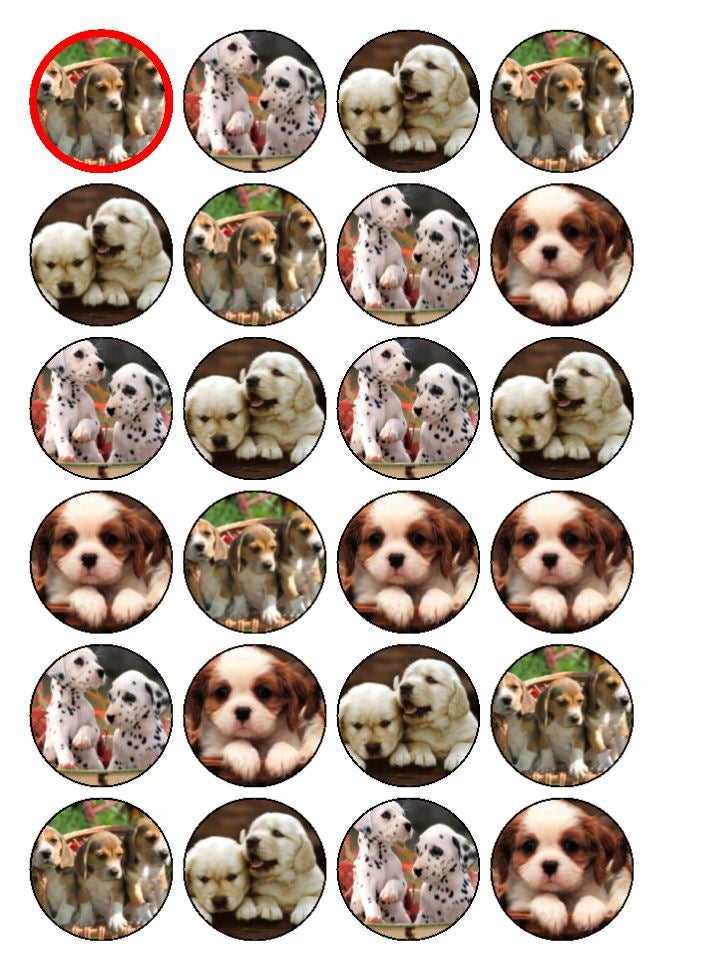 Puppies Golden Retrievers Dalmatians Beagles Edible Cupcake Topper Images ABPID08105