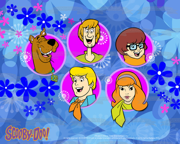 Scooby-Doo Logo Shaggy Velma Fred Daphne Flowers Edible Cake Topper Image ABPID08521