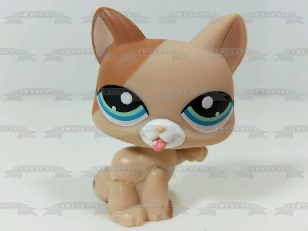 Littlest Pet Shop Kimberly Cat Edible Cake Topper Image ABPID10502