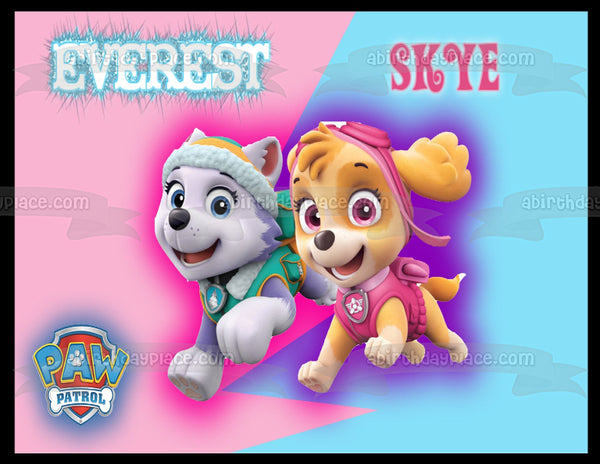 Paw Patrol Everest Skye Blue Pink Background Edible Cake Topper Image ABPID10696