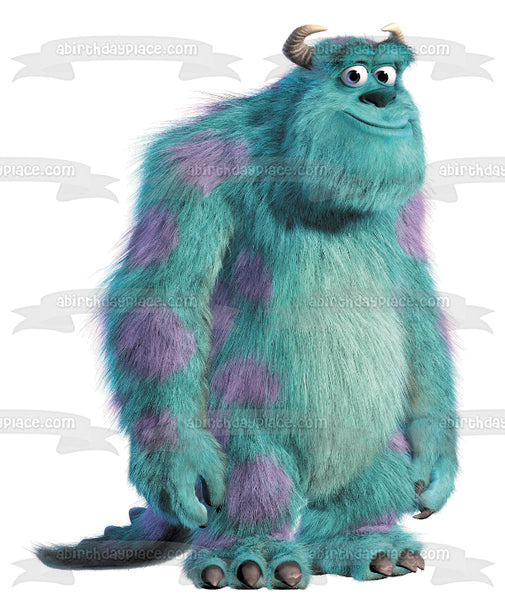 Disney Monsters Inc Sully Edible Cake Topper Image ABPID11993