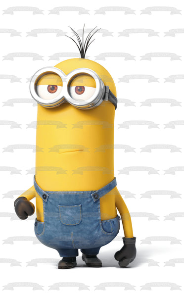 Despicable Me Minion Kevin Edible Cake Topper Image ABPID12828