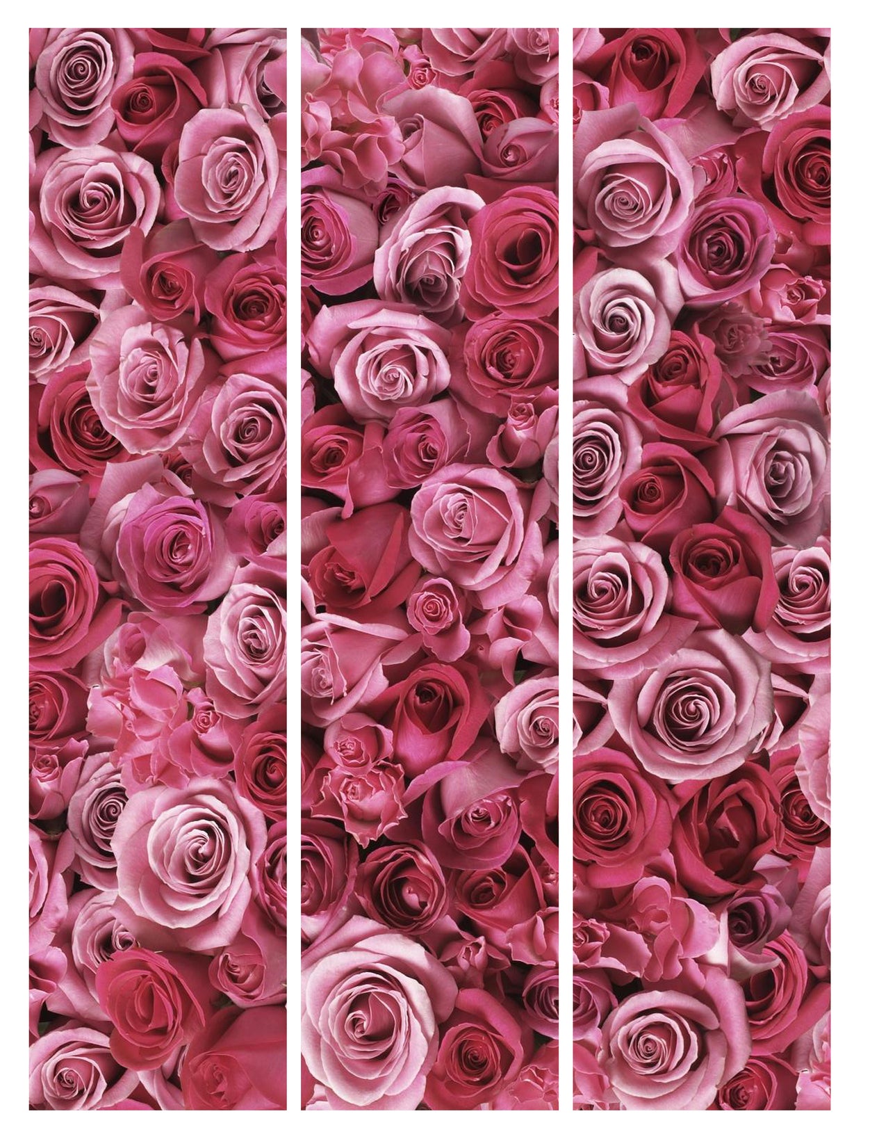 Pink Roses Pattern Edible Cake Topper Image Strips ABPID14817