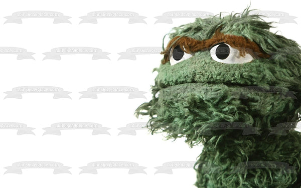 Sesame Street Oscar the Grouch Edible Cake Topper Image ABPID22101