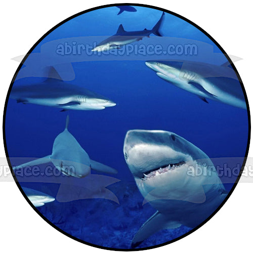 Decoración comestible para tarta con tiburones nadando en el agua Imagen ABPID27740 