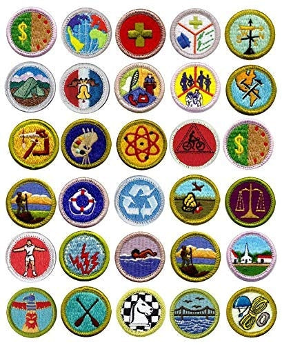Boy Scouts Assorted Merit Badges Edible Cupcake Topper Images ABPID49763