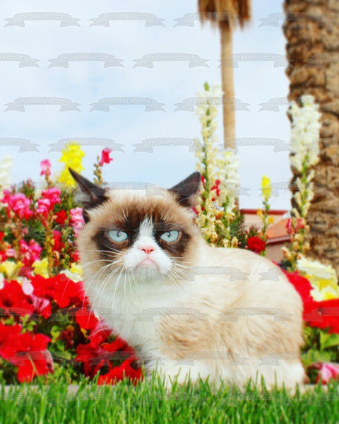 Grumpy Cat Flowers Sky Background Edible Cake Topper Image ABPID49809