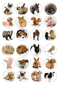 Assorted Animals Cats Pigs Horses Dogs Porcupines Birds Rabbits Edible Cupcake Topper Images ABPID49822