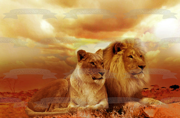 Lion and Lioness Sunset Edible Cake Topper Image ABPID50476
