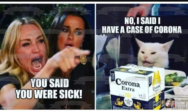 Coronavirus Meme Lady Yelling at Cat Edible Cake Topper Image ABPID51477