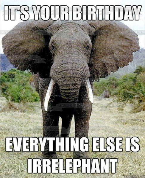 Meme Happy Birthday Elephant "It's Your Birthday Everything Else Is Irrelephant" Edible Cake Topper Image ABPID51479