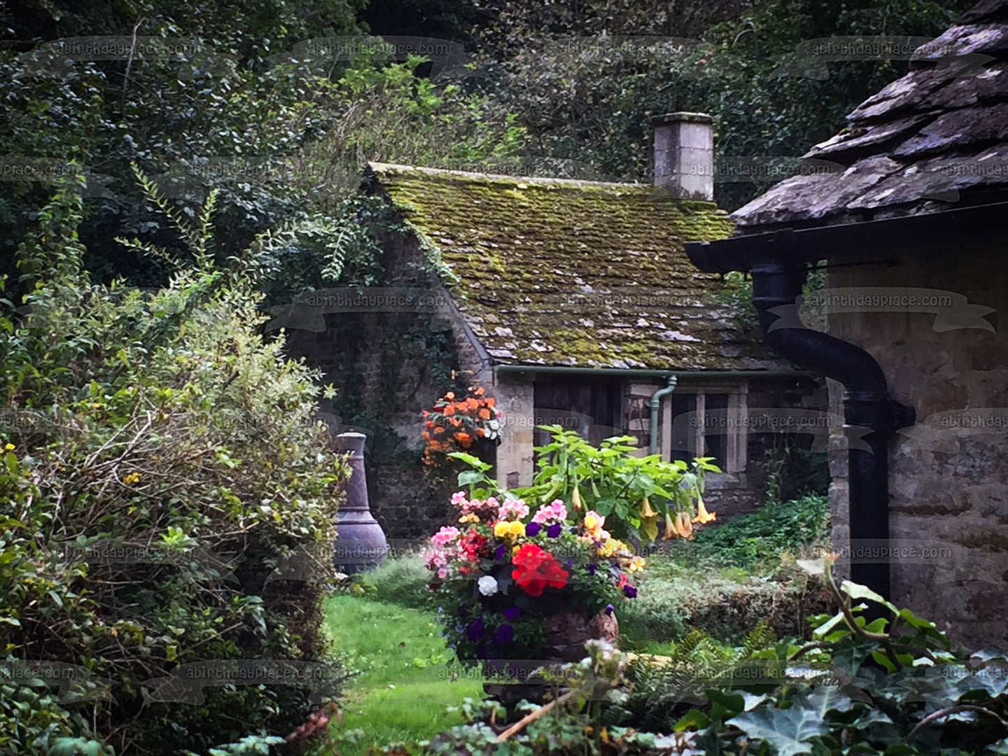 Village Home Surrounded by Flowers and Trees Edible Cake Topper Image ABPID52566