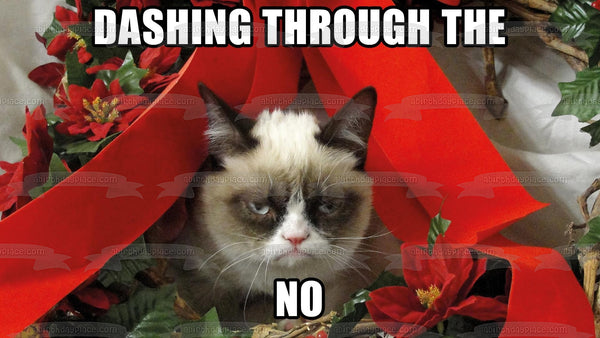Angry Cat Christmas Meme "Dashing Through the No" Edible Cake Topper Image ABPID53102